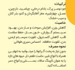 گرانولا سیب و دارچین وگان ویگر - Image 4